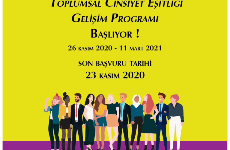 Toplumsal Cinsiyet Eşitliği Gelişim Programı
